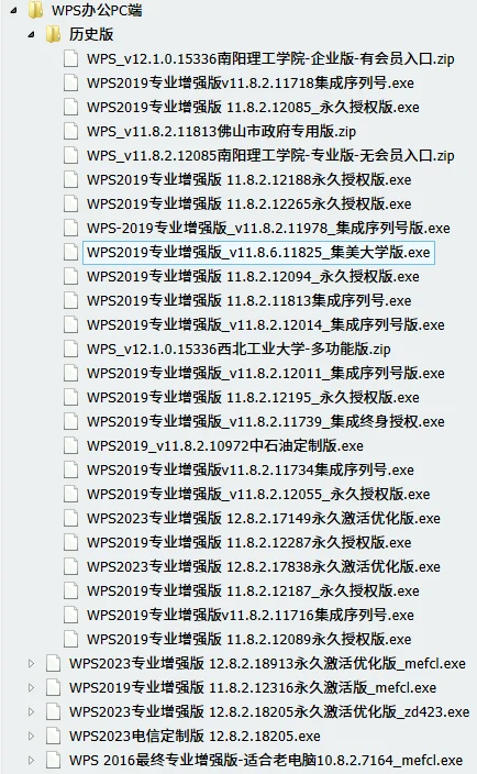 图片[1]-WPS Office 永久授权版/电信定制版_无广告启动速度快，附带各种增值服务-顺风网舟