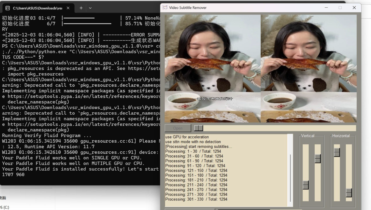 【25.12.5】视频硬字幕去除器 v1.1.0 -顺风网舟